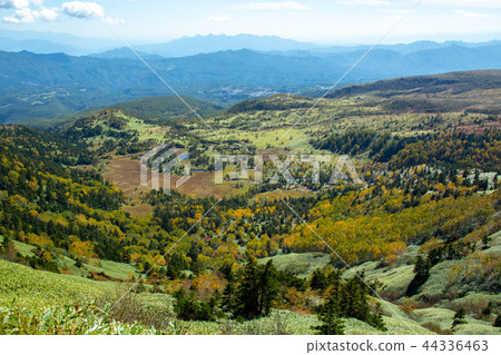 我很欣賞志賀高原的絕佳景色 我很欣賞志賀高原的絕佳景色 44336463