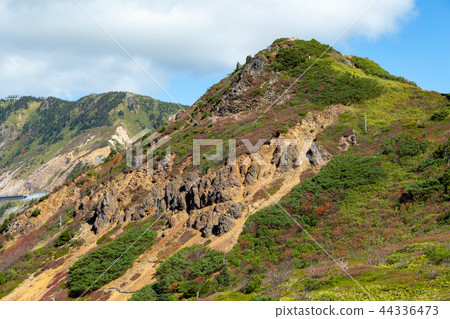 我很欣賞志賀高原的絕佳景色 44336473