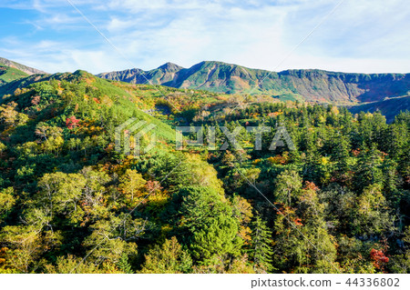 Fall Tokachi mountain range Upper Holokametk mountain Fall Tokachi mountain range Upper Holokametk mountain 44336802