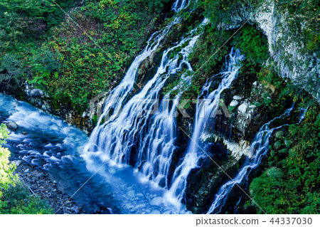 白鬍子瀑布 白鬍子瀑布 44337030