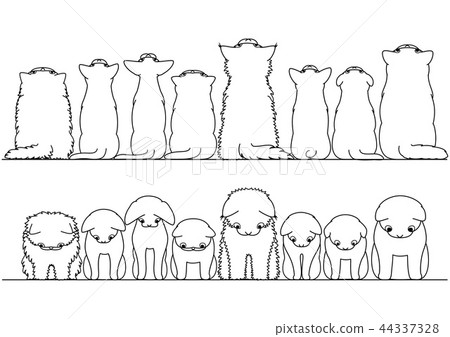 Looking up at cats border set looking down Looking up at cats border set looking down 44337328