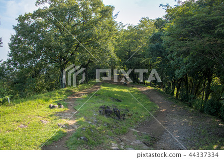 在Obiichi附近的Kanayama城堡廢墟 44337334