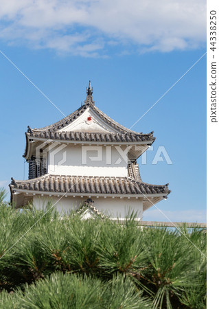 Akashi Castle in autumn 44338250
