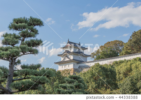 Akashi Castle in autumn 44338388