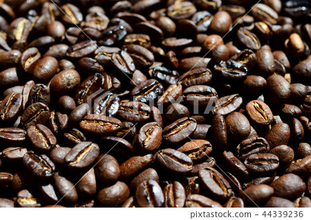 Azuki Bean喀麥隆 44339236