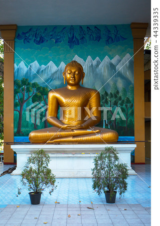Golden Buddha statue Golden Buddha statue 44339335