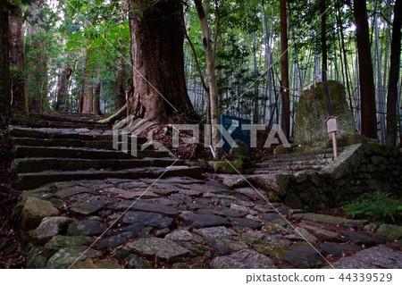 Kumano Kodo Daimonzaka Nachiyama Ishidan / Tofiki Oji (Wakayama Prefecture Tohaku-gun Nachi Katsuura Town) Kumano Kodo Daimonzaka Nachiyama Ishidan / Tofiki Oji (Wakayama Prefecture Tohaku-gun Nachi Katsuura Town) 44339529