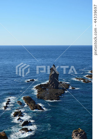 Shingen cho Kamihami 44339697