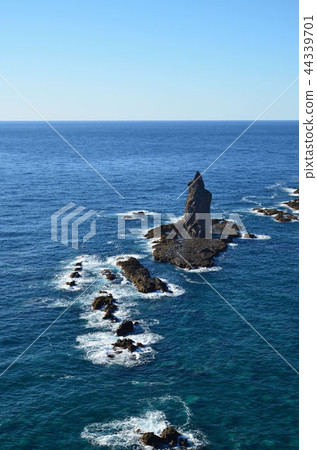 Shingen cho Kamihami 44339701