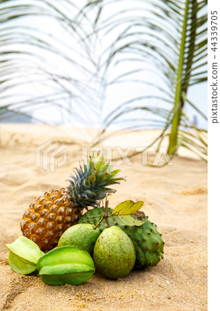 Green fruit under the leaves of a palm tree 44339705