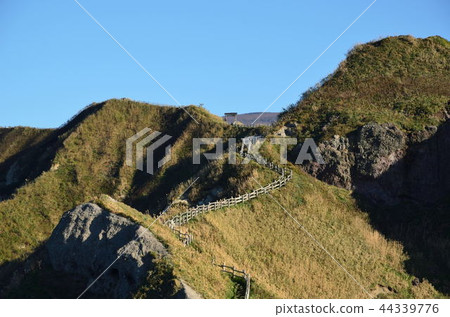 Shingen cho Kamihami 44339776