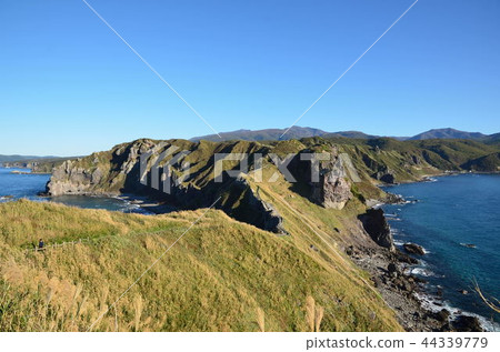 Shingen cho Kamihami 44339779