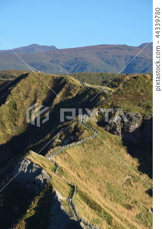 Shingen cho Kamihami 44339780