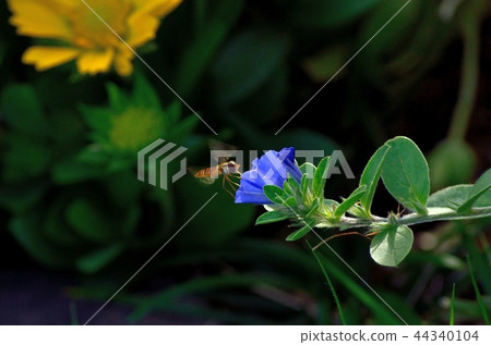 登陸平田阿布花17-09-30 44340104