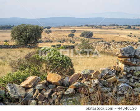 Barren dry land - Santa Catalina de Somoza 44340150