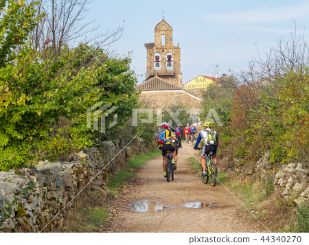 Camino cyclists - Santa Catalina de Somoza 44340270