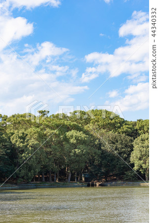 秋天的明石城堡池塘 44340332