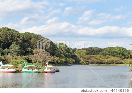 秋天的明石城堡池塘 44340336