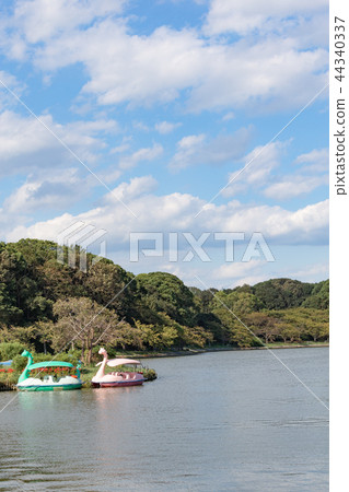 秋天的明石城堡池塘 44340337