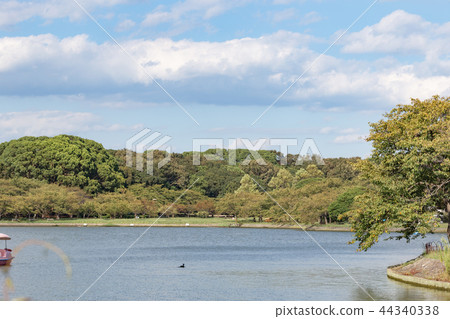 Akashi Castle pond in the fall 44340338