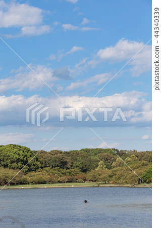 Akashi Castle pond in the fall 44340339