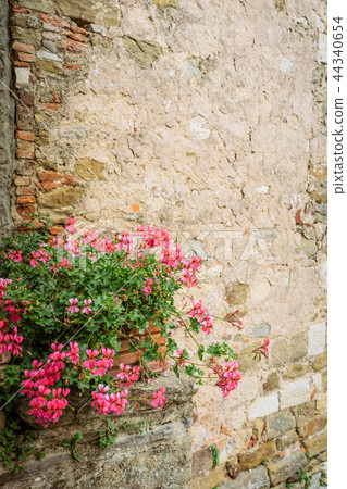 Pink flowers in front of stone wall. 44340654