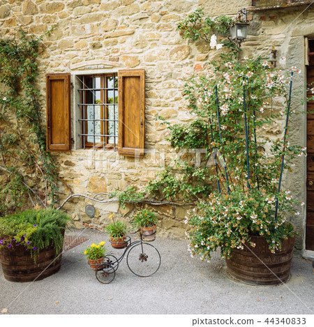 Beautiful flowers and bushes in front of wall 44340833