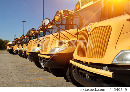 The raw of yellow school buses The raw of yellow school buses 44340849