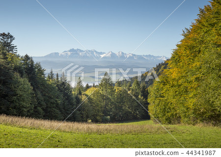View on Tatra mountains from Pieniny, Poland 44341987