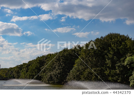 Akashi Castle moat in autumn 44342370