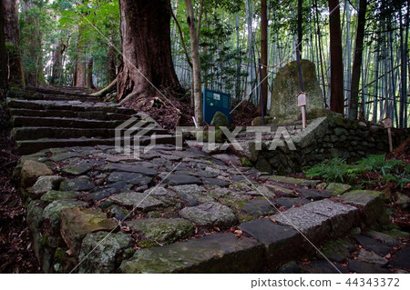 Kumano Kodo Daimonzaka Nachiyama Ishidan / Tofiki Oji (Wakayama Prefecture Tohaku-gun Nachi Katsuura Town) 44343372