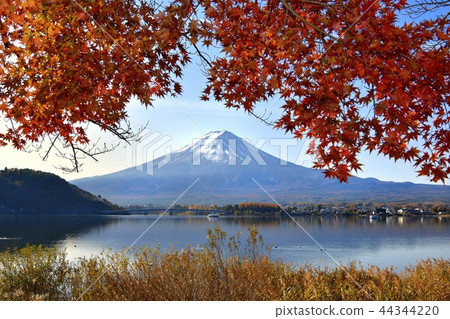 Autumn leaves and lake Fuji by Kawaguchiko 44344220