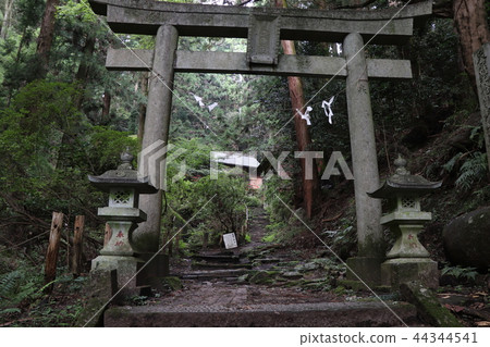 Naikuso嚴島神社 44344541