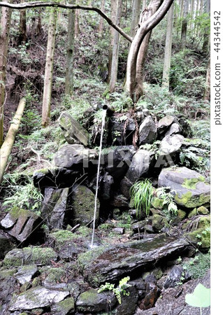 Nagushiku島神社的神社的Shikushimizu 44344542