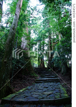 Kumano Kodo Daimonzaka Nachiyama石路面/國道46號,在匯合點附近(和歌山縣Higashi-Gungun Nachikatsuuracho Kumano Kodo Daimonzaka Nachiyama石路面/國道46號,在匯合點附近(和歌山縣Higashi-Gungun Nachikatsuuracho 44344571