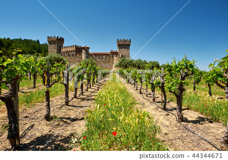 Vineyards with castle in California 44344671