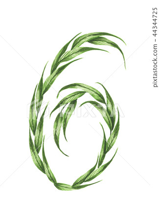 Number 6 with the green leaves texture. Watercolor 44344725