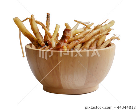 Boesenbergia rotunda (L.) Mansf. (Finger Root) Boesenbergia rotunda (L.) Mansf. (Finger Root) 44344818