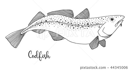 Hand drawn codfish. Vector illustration Hand drawn codfish. Vector illustration 44345006