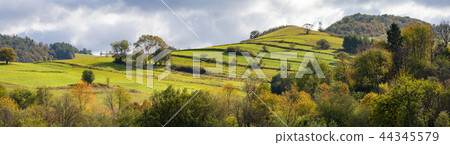 Bieszczady mountains at autumn, Poland 44345579
