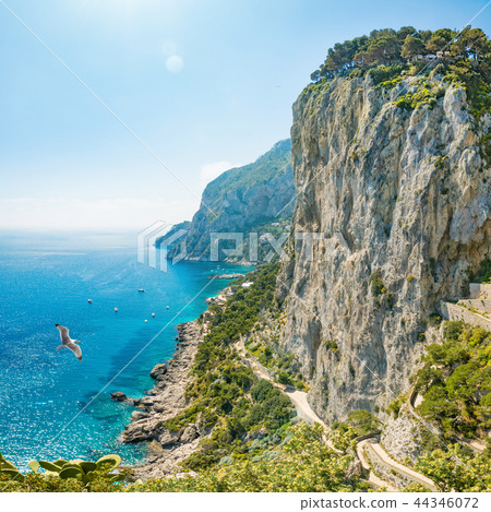 Rocks and sea in Capri, Italy 44346072