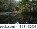 Hachimantai Suganuma 44346236