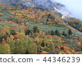 Hachimantai Goshosho 44346239