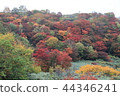 Hachimantai Goshosho 44346241