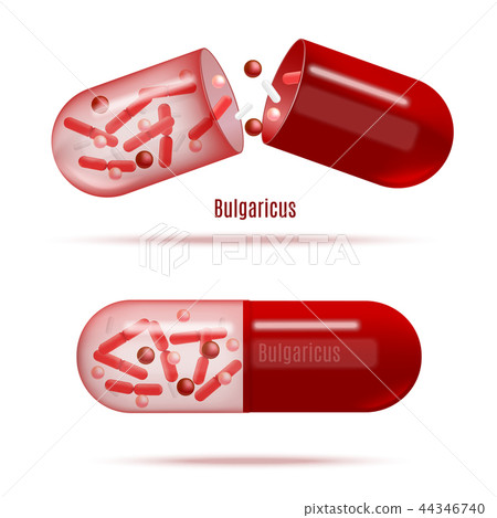 Medicines with Probiotic Bacteria Realistic Vector Medicines with Probiotic Bacteria Realistic Vector 44346740