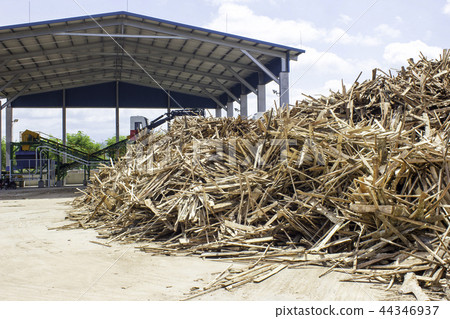Slob wood and wood chipper building 44346937
