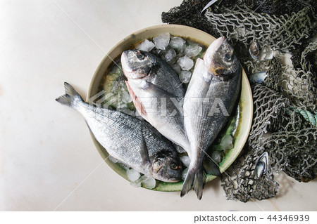 Raw sea bream fish 44346939