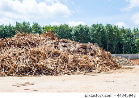 Slab wood storage yard : raw material before chip Slab wood storage yard : raw material before chip 44346948