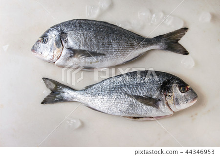 Raw sea bream fish Raw sea bream fish 44346953