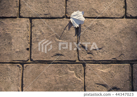 Stamped concrete pavement outdoor, cobblestones pattern, flooring exterior 44347023